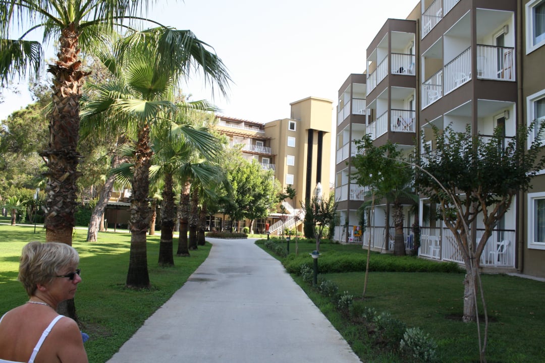 Juni 2012 : minder in bloei Marvida Family Eco