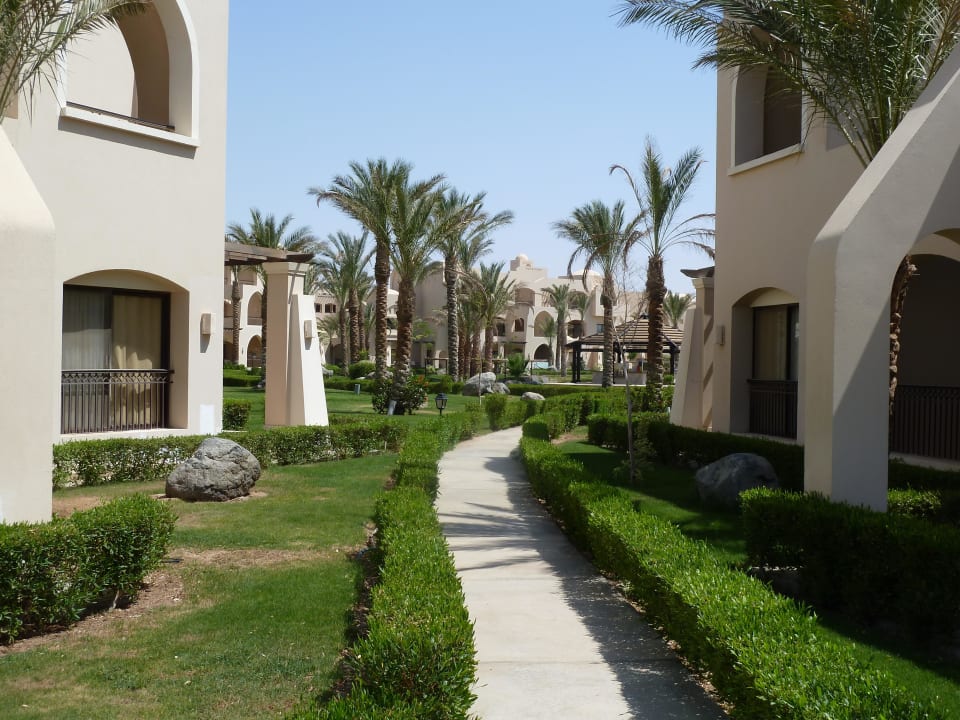 Saraya Palms JAZ Neo Saraya Palms