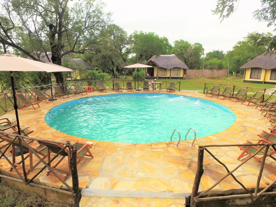 Pool Africa Safari Selous