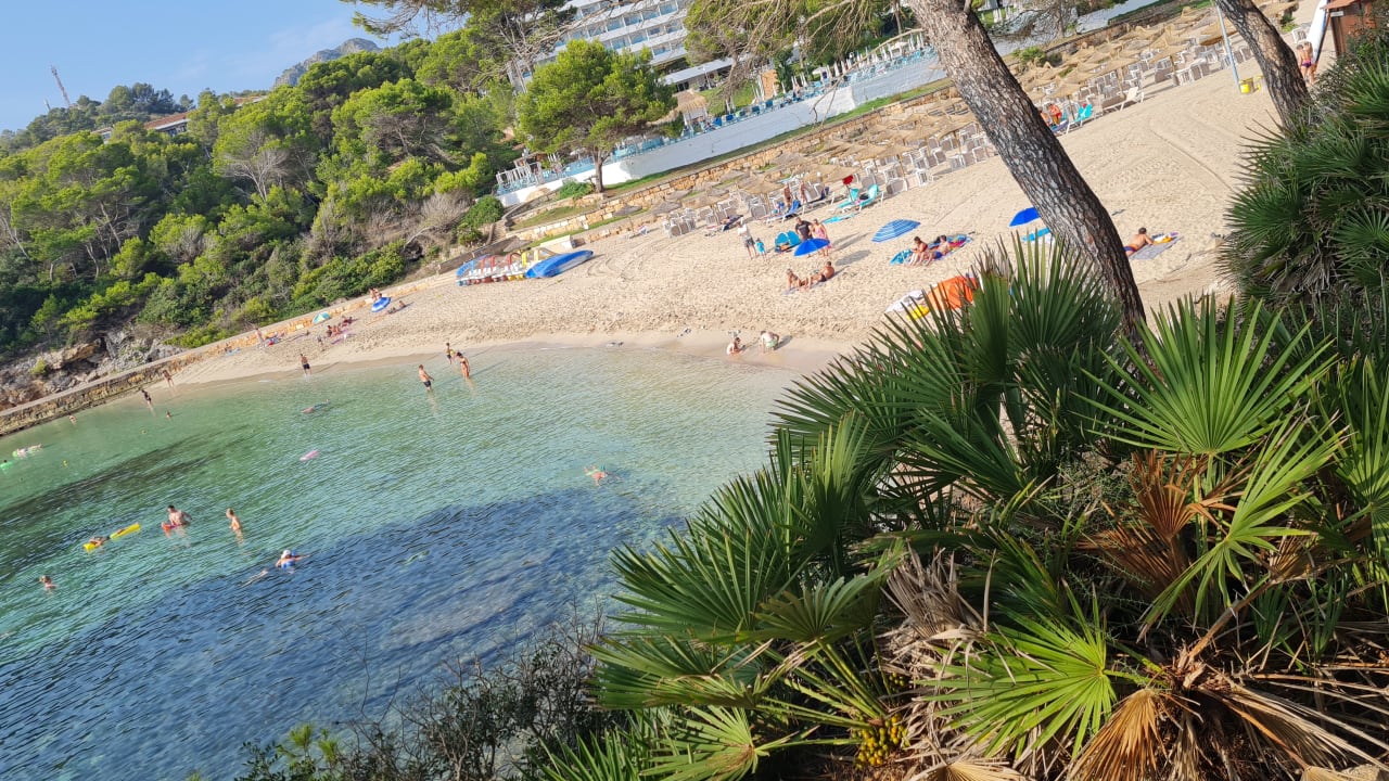 Strand Iberostar Waves Pinos Park