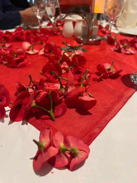 Gastro Pickalbatros Villaggio Resort - Portofino