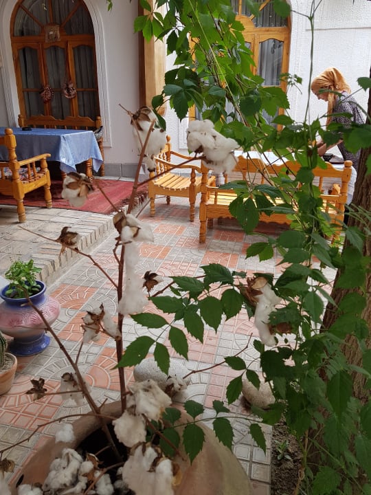 Lobby NAZIRA&AZIZBEK