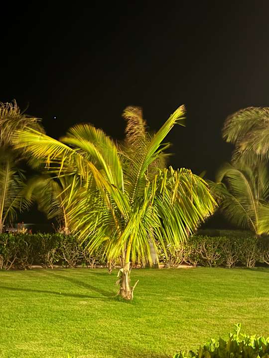 Außenansicht Hotel Riu Palace Santa Maria