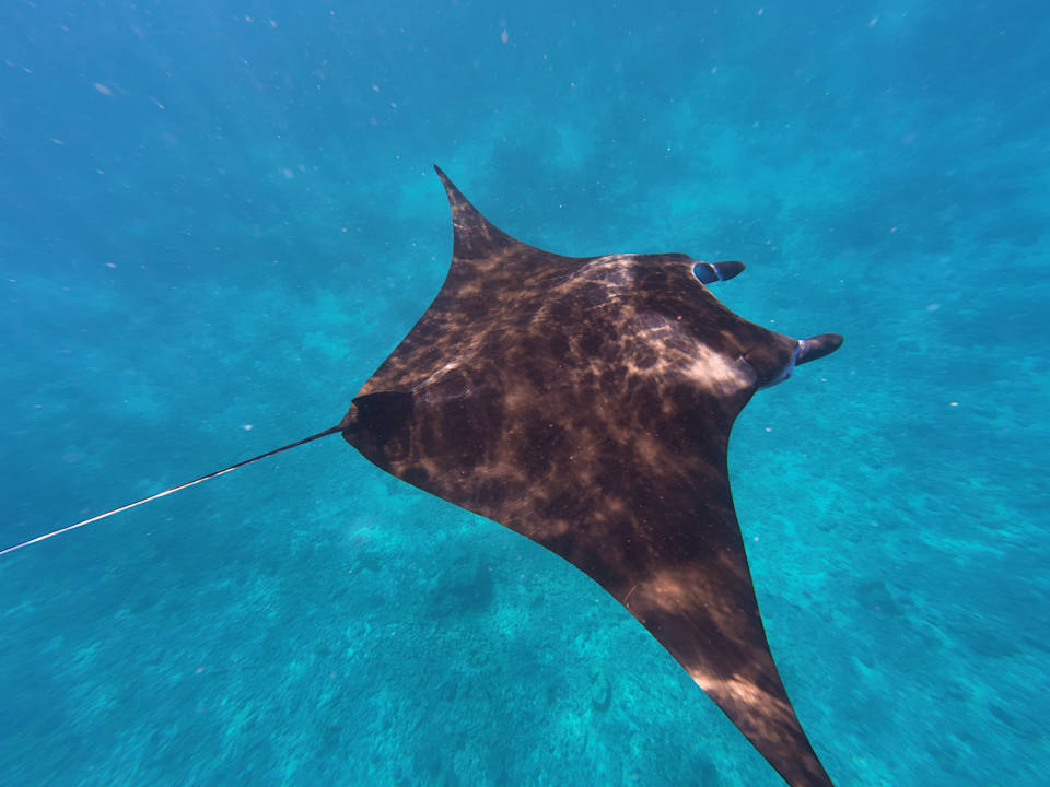Strand Vilamendhoo Island Resort & Spa