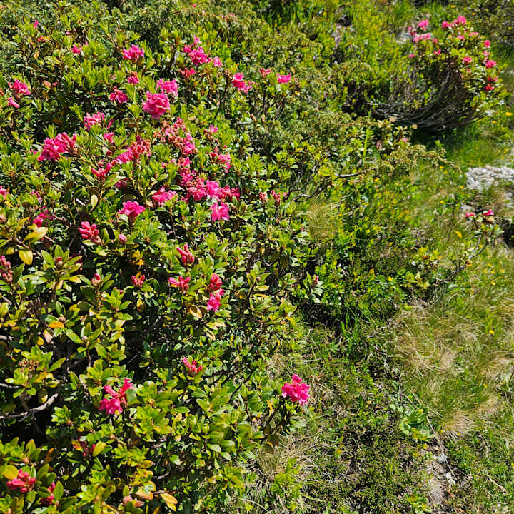 Außenansicht Mountain Resort M&M