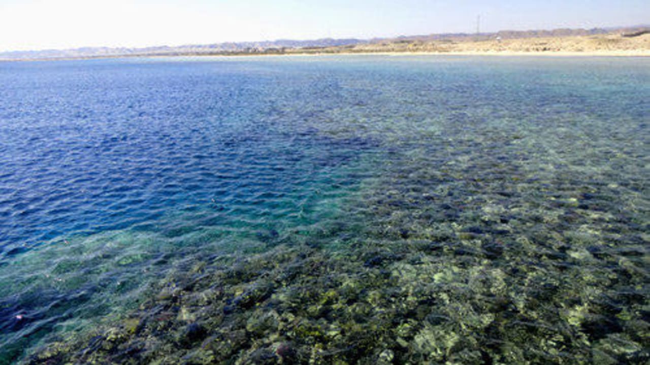Außenriff mit Blick nach Süden Hotel Gorgonia Beach Resort