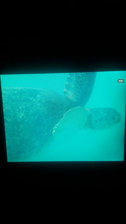 Außenansicht Malikia Resort Abu Dabbab