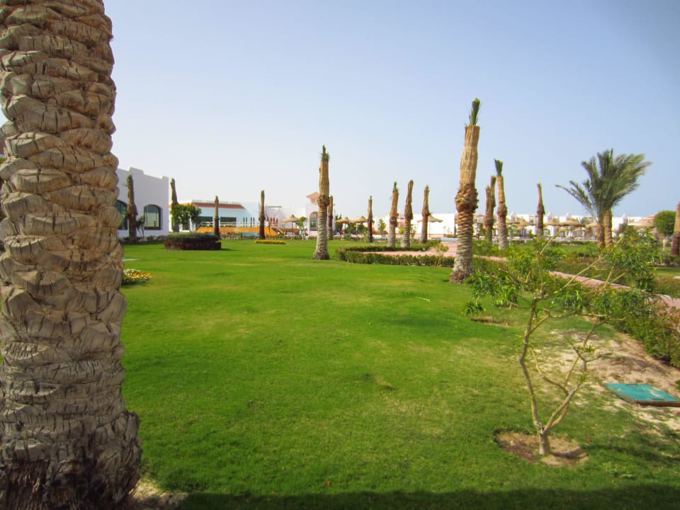 Ogród Fantazia Resort Marsa Alam