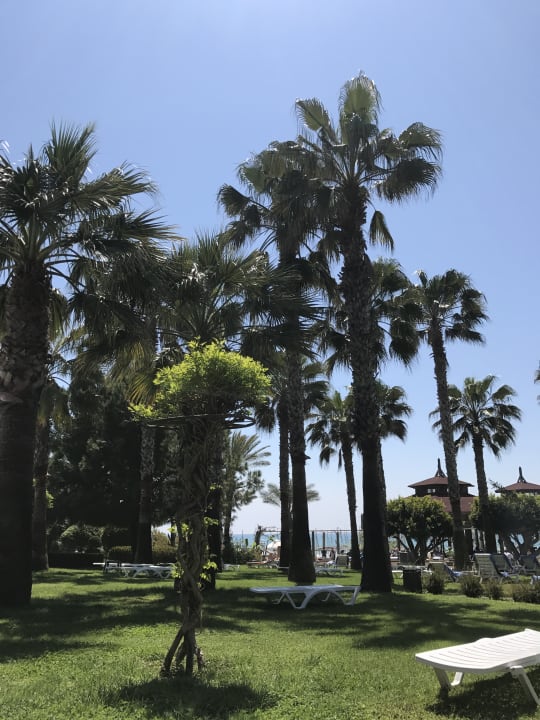 Gartenanlage Hotel Terrace Beach Resort