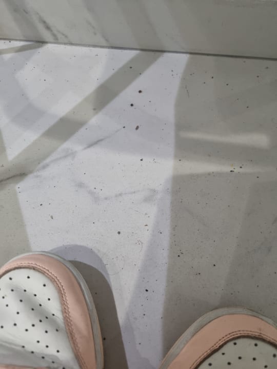 Zimmer Dimitra Beach Hotel & Suites