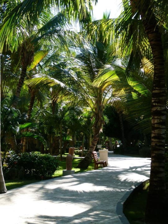 Hotel Dreams Punta Cana Wyndham Alltra Punta Cana