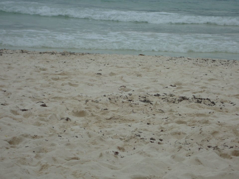 Hotel Catalonia Playa Maroma Catalonia Playa Maroma