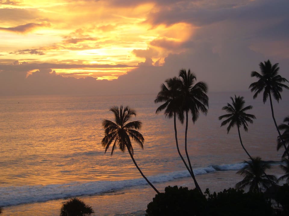 Sonnenuntergang Blick Strand/Mer Citrus hikkaduwa Citrus Hikkaduwa