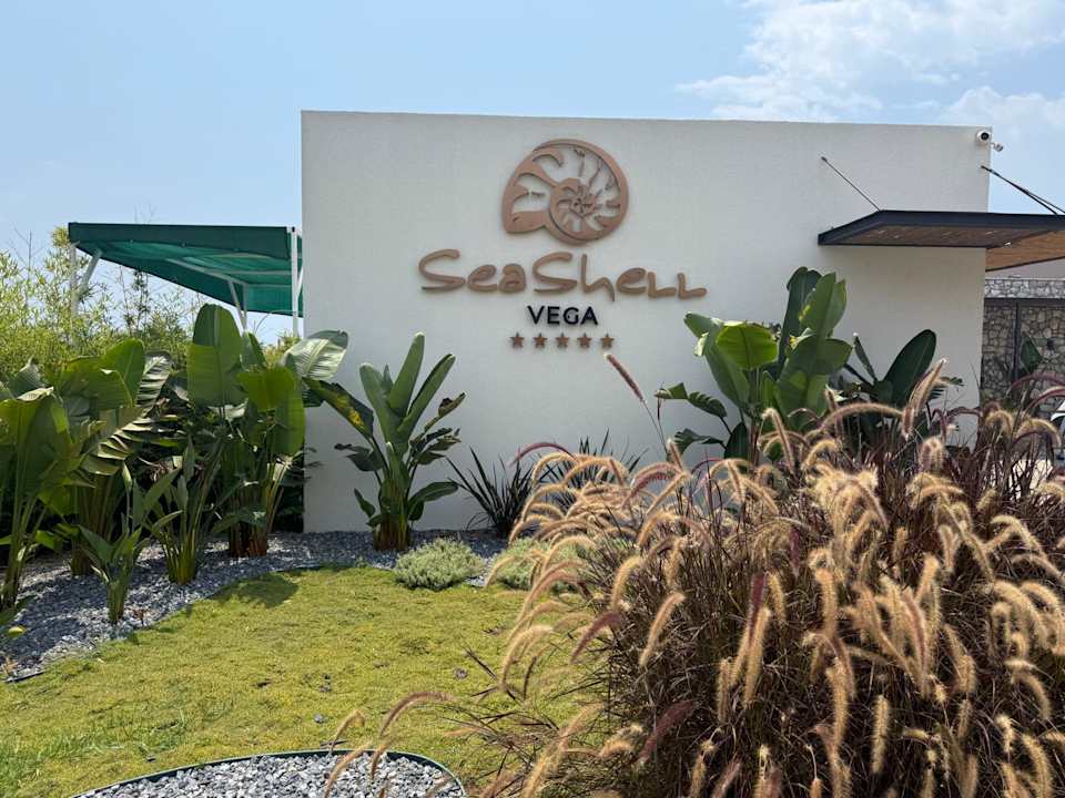 Strand Seashell Vega