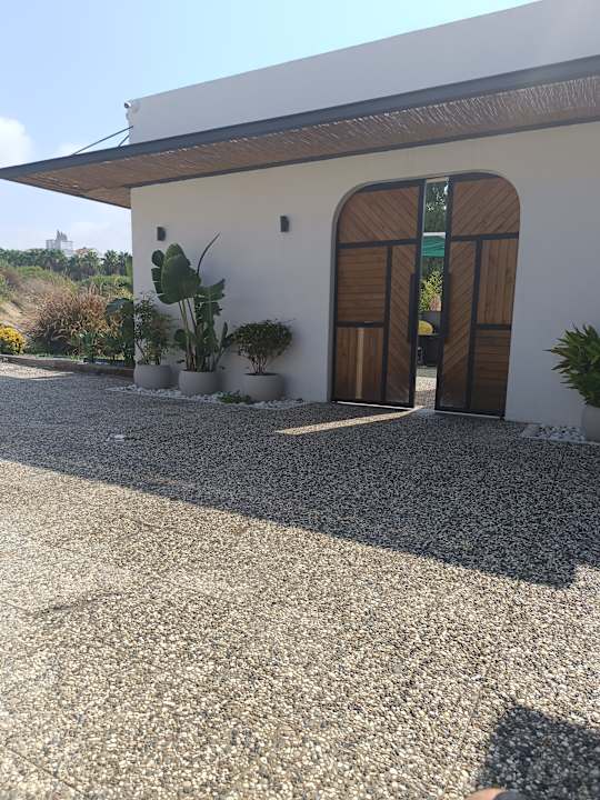 Strand Seashell Vega