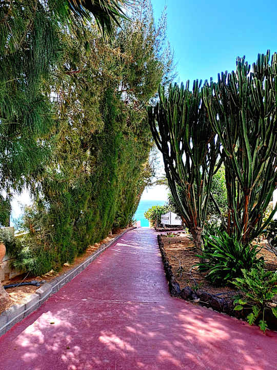 Gartenanlage Marina Playa Suite Hotel