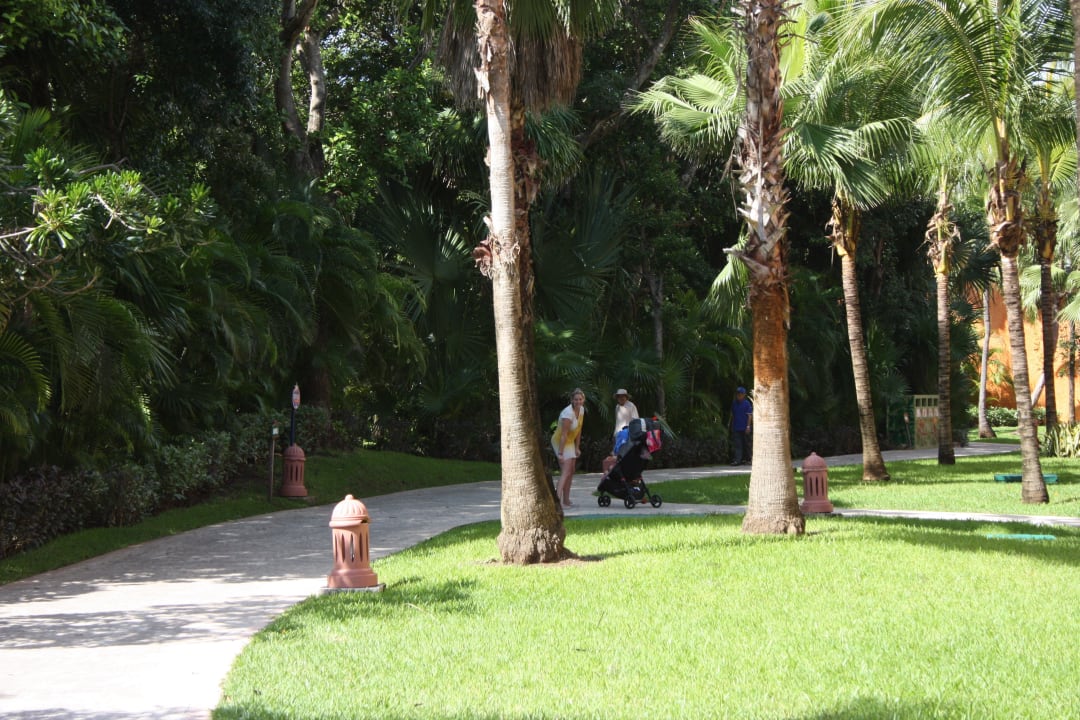Weg zum Zimmer Iberostar Waves Tucan