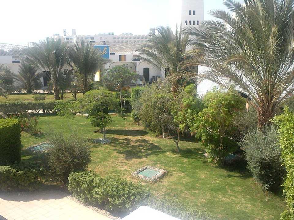 Ausblick zur Gartenanlage, sehr gepflegt Arabella Azur Resort