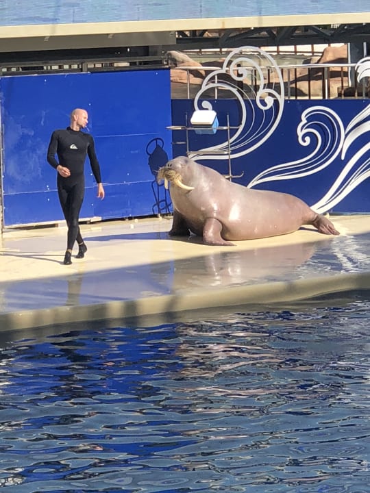 Sonstiges The Land of Legends Kingdom Hotel