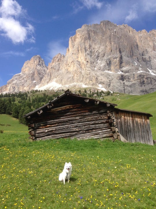   Hotel per escursioni| Das Wanderhotel im Trentino Wellness Hotel Lupo Bianco
