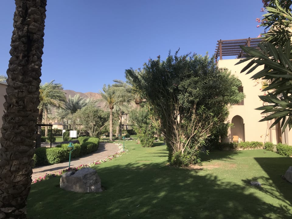 Gartenanlage Miramar Al Aqah Beach Resort