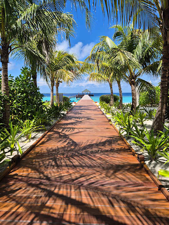 Gartenanlage Adaaran Select Meedhupparu Island Resort - Premium All Inclusive