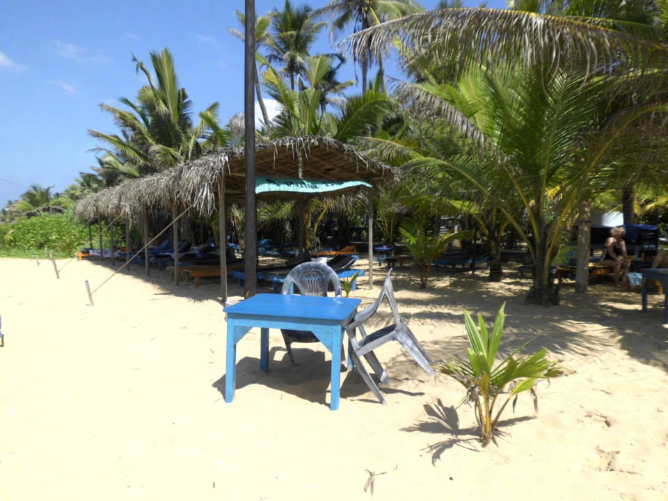 Wunderschöner Platz Palm Beach Guesthouse