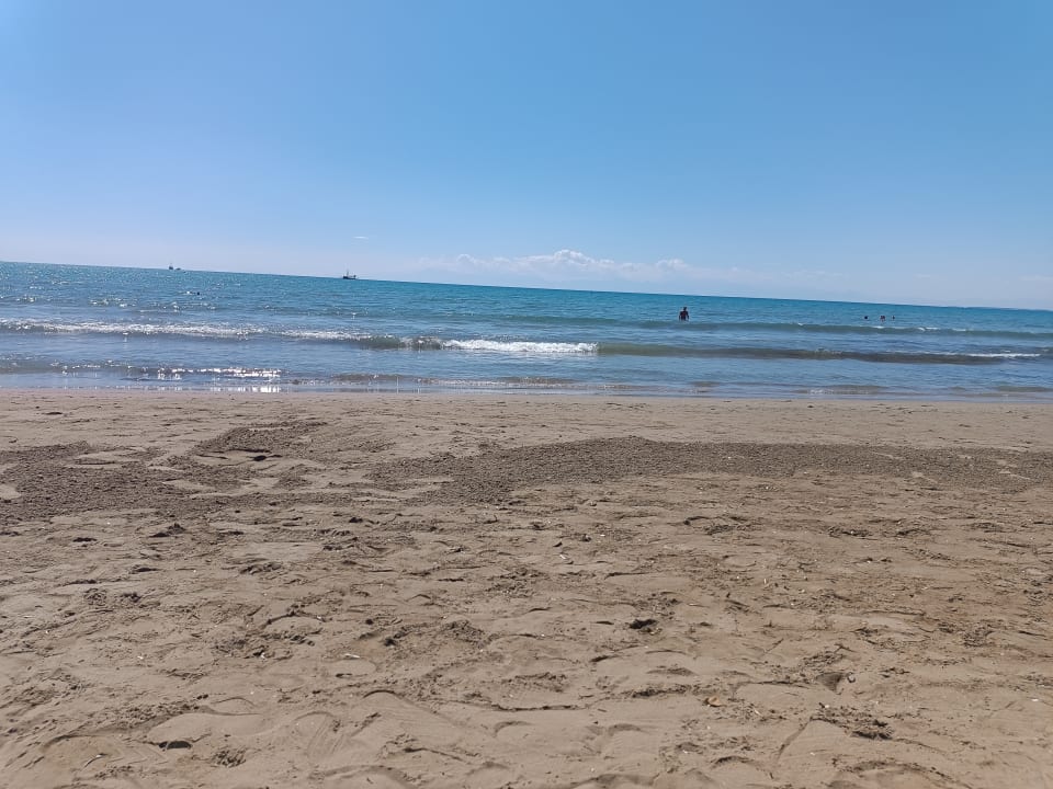 Strand Clover Magic Nova Beach