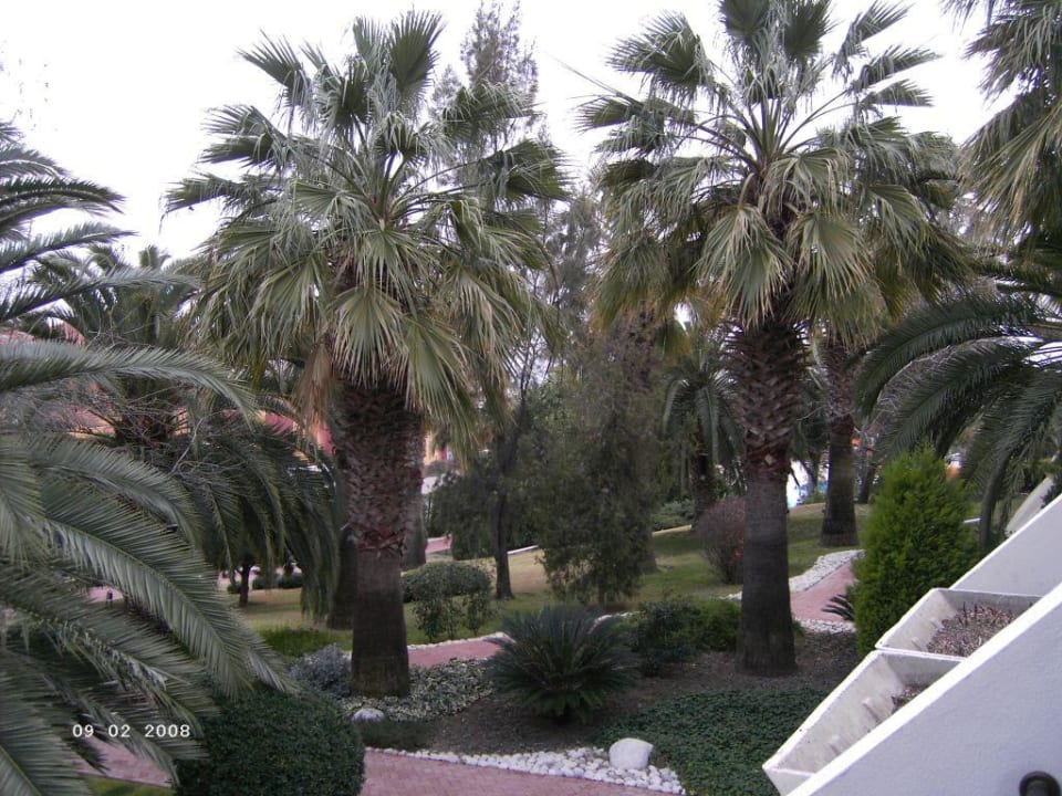 Gartenanlage Side Star Elegance