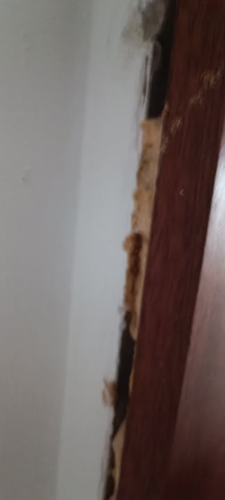 Zimmer Hotel Europalace