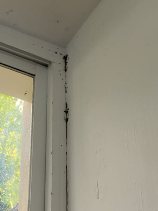 Sonstiges Protur Floriana Resort Aparthotel