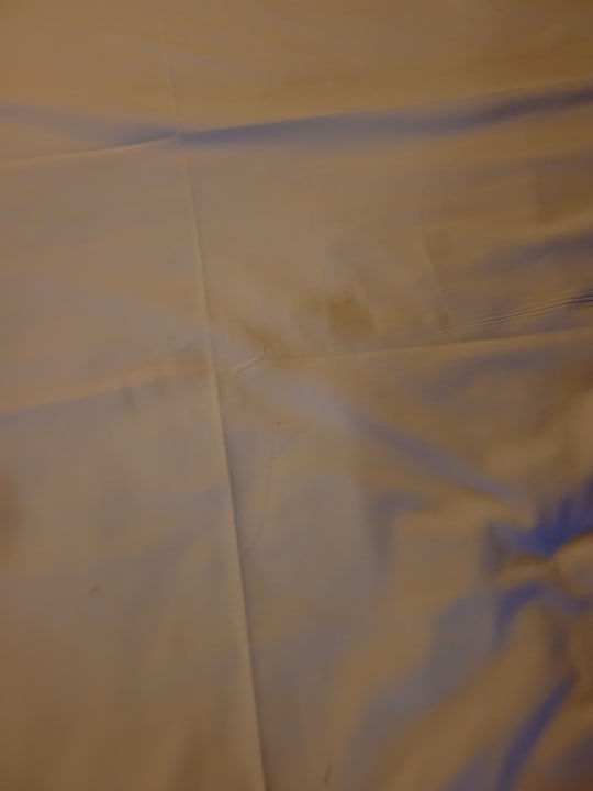 Zimmer Clover Magic Nova Beach