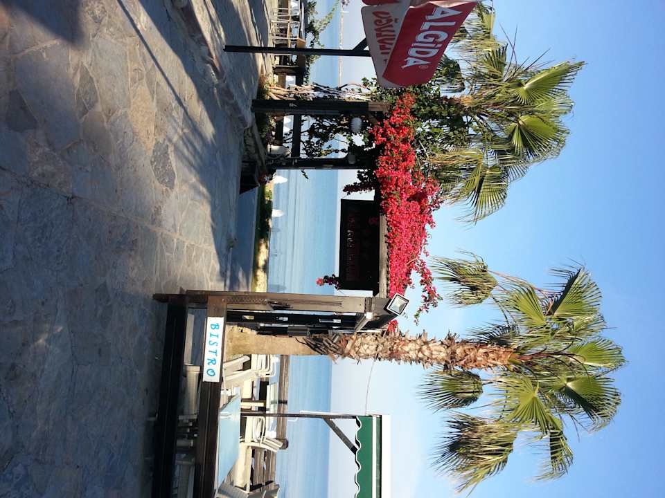 Blütenpracht auf dem Weg zum Strand Side Altinkum Hotel