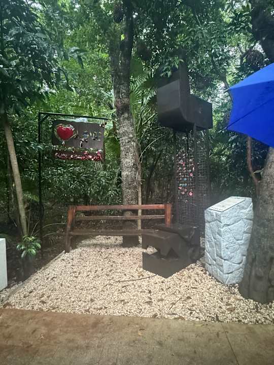 Gartenanlage Catalonia Playa Maroma