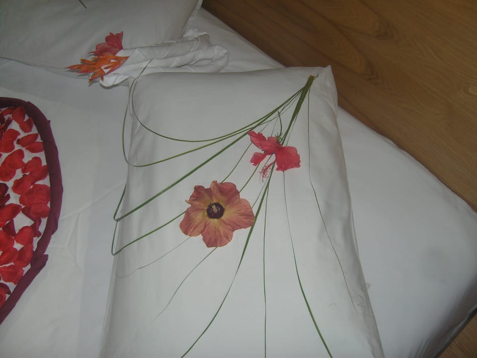 Detail unvergesslich !! Summer Island Maldives