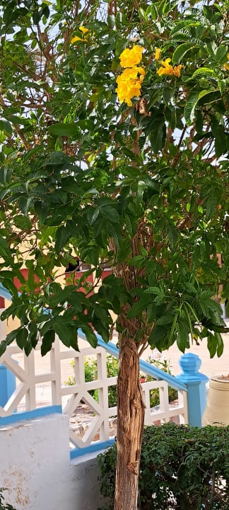 Ausblick Arabella Azur Resort