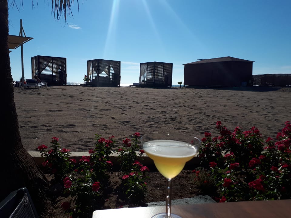 Gastro TUI BLUE Palm Garden