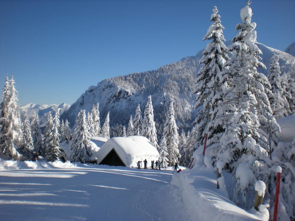 Winterimpression  Haus Gartnerkofelblick