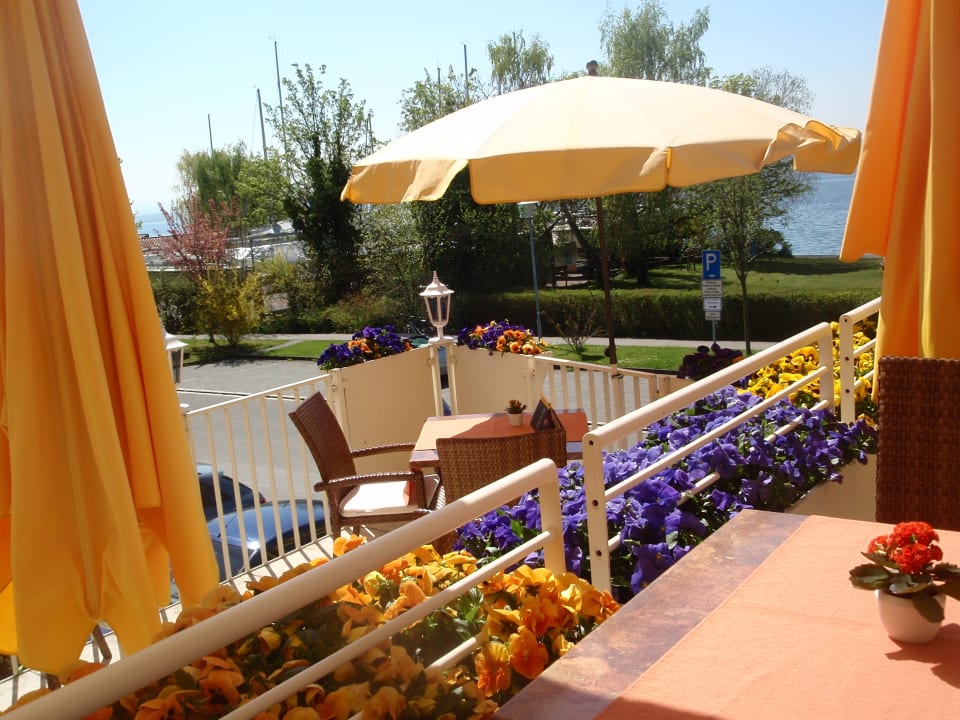 Ausblick Seehotel Off