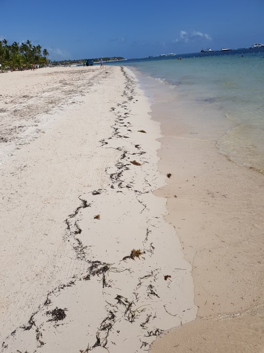 Strand Lopesan Costa Bávaro Resort, Spa & Casino