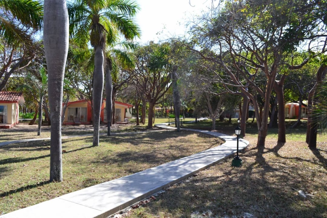 W ogrodzie domki Starfish Cayo Guillermo