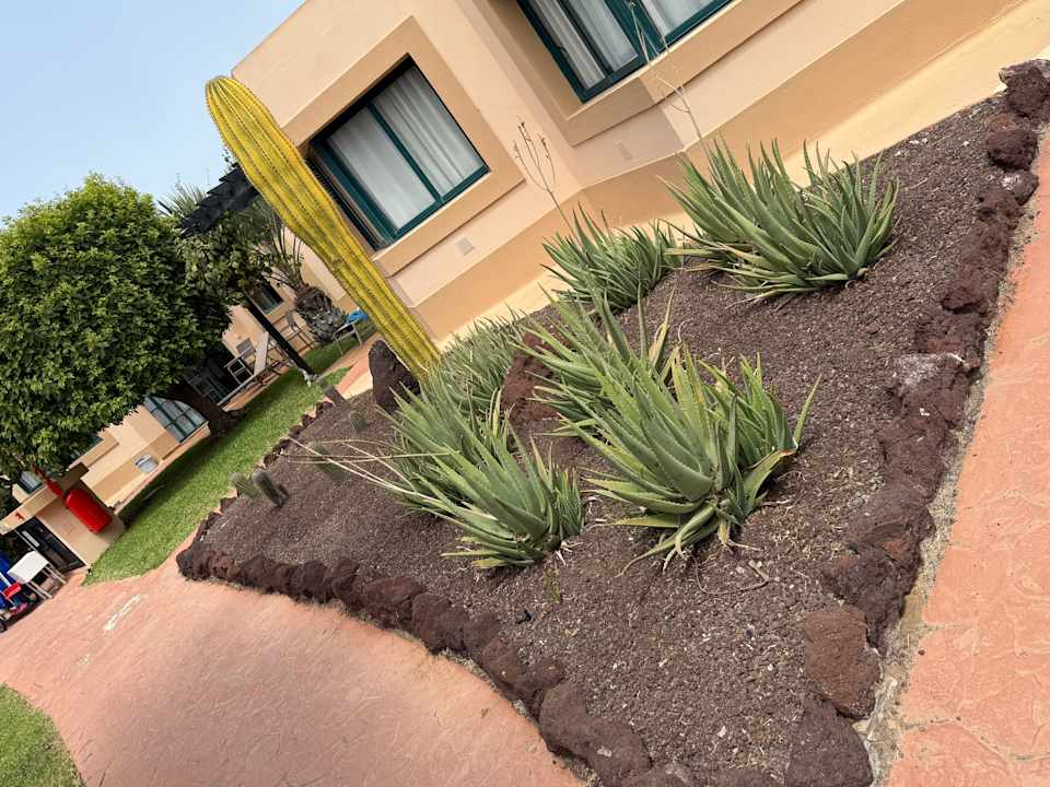 Gartenanlage allsun Hotel Esplendido