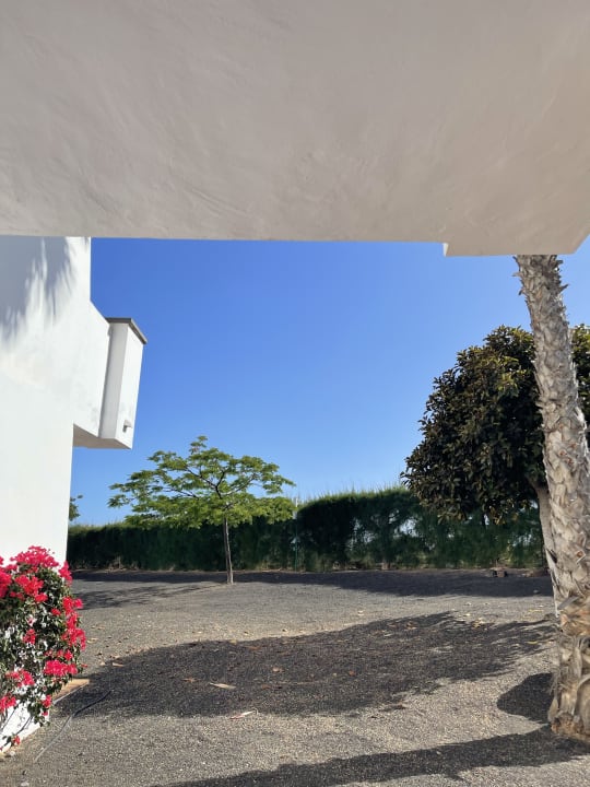 Zimmer allsun App.-Hotel Albatros