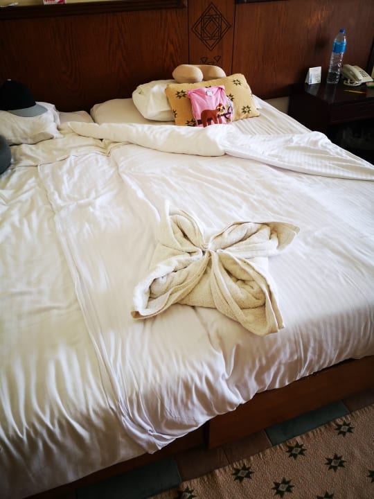 Zimmer Three Corners Equinox Beach Resort