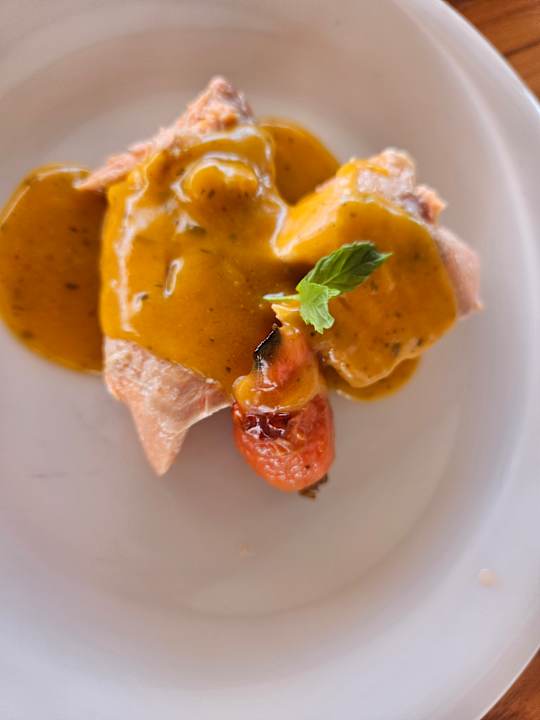 Gastro Seashell Vega