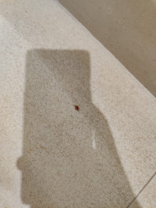 Zimmer Hotel Bel Azur Thalasso & Bungalows