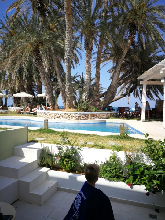 Ausblick Palm Beach Hotel