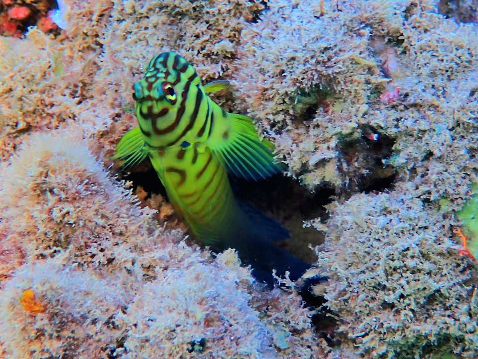 Sport & Freizeit Shams Alam Beach Resort