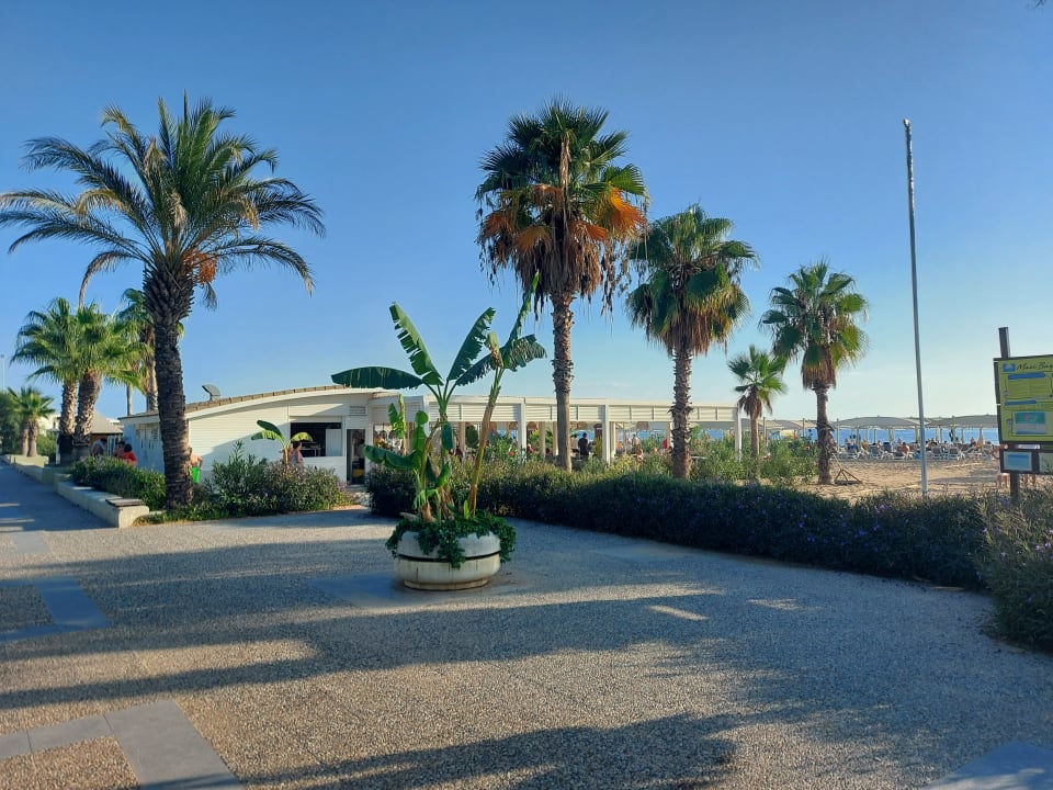 Strand TUI BLUE Xanthe