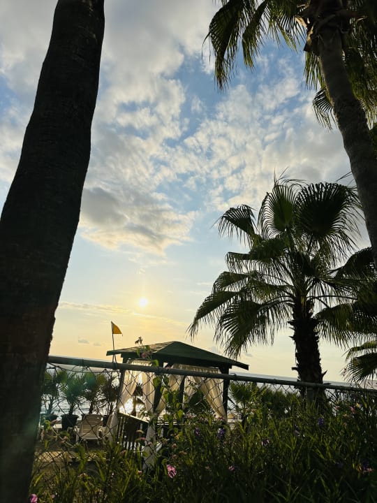 Ausblick Hotel Botanik Platinum